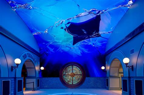 stl aquarium|Family Fun in Downtown St. Louis..